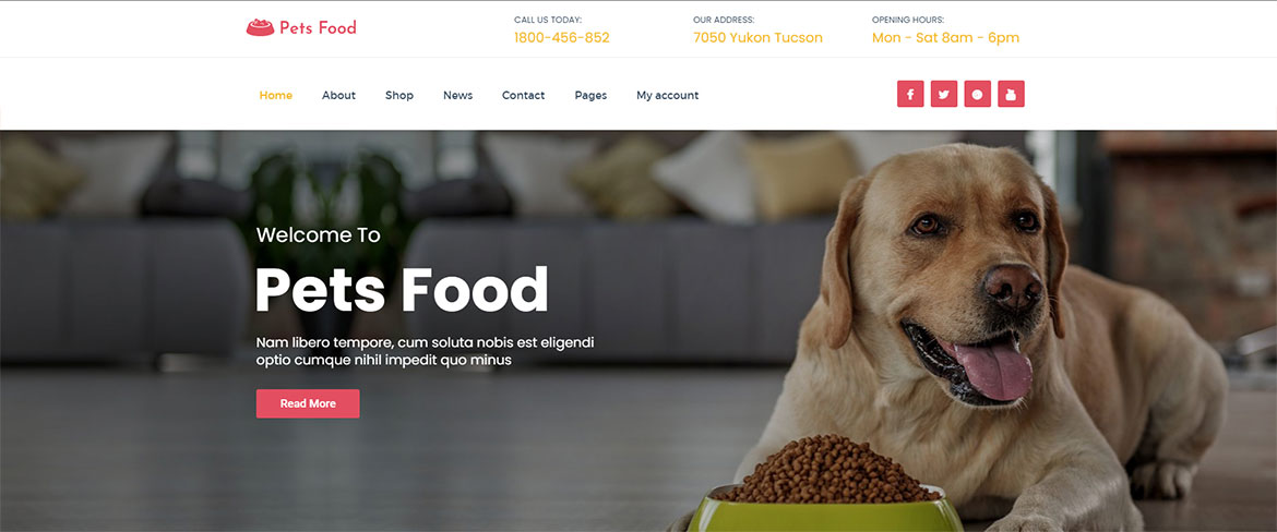 Sitio web para alimentos para mascotas