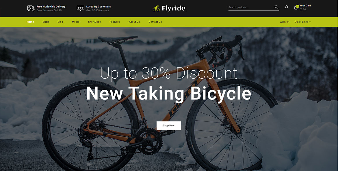 Website für Flyride