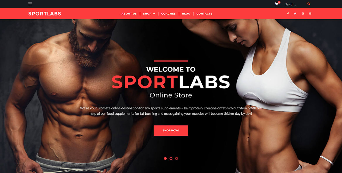 Strona internetowa firmy Sportlabs