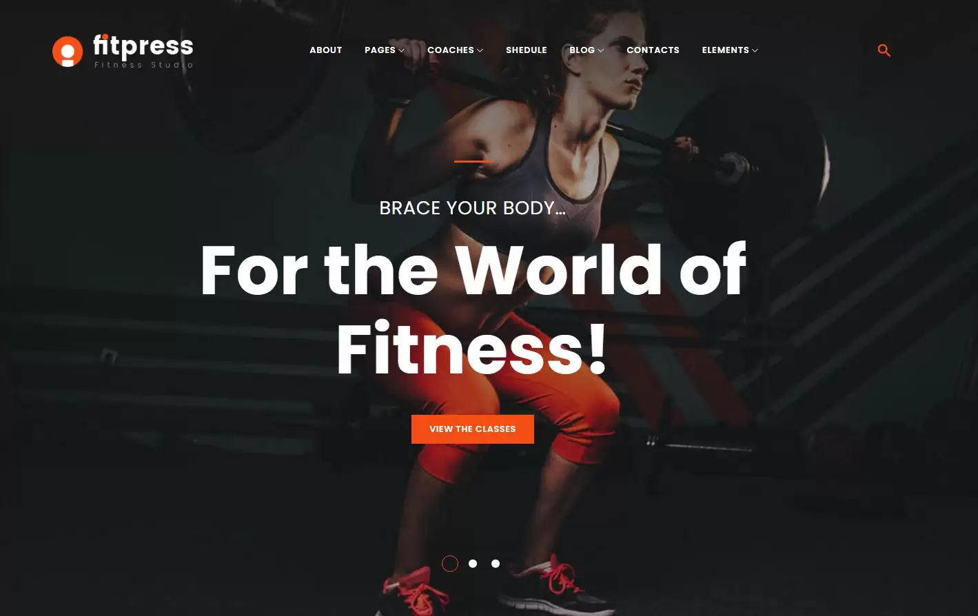 Web pro Fitpress