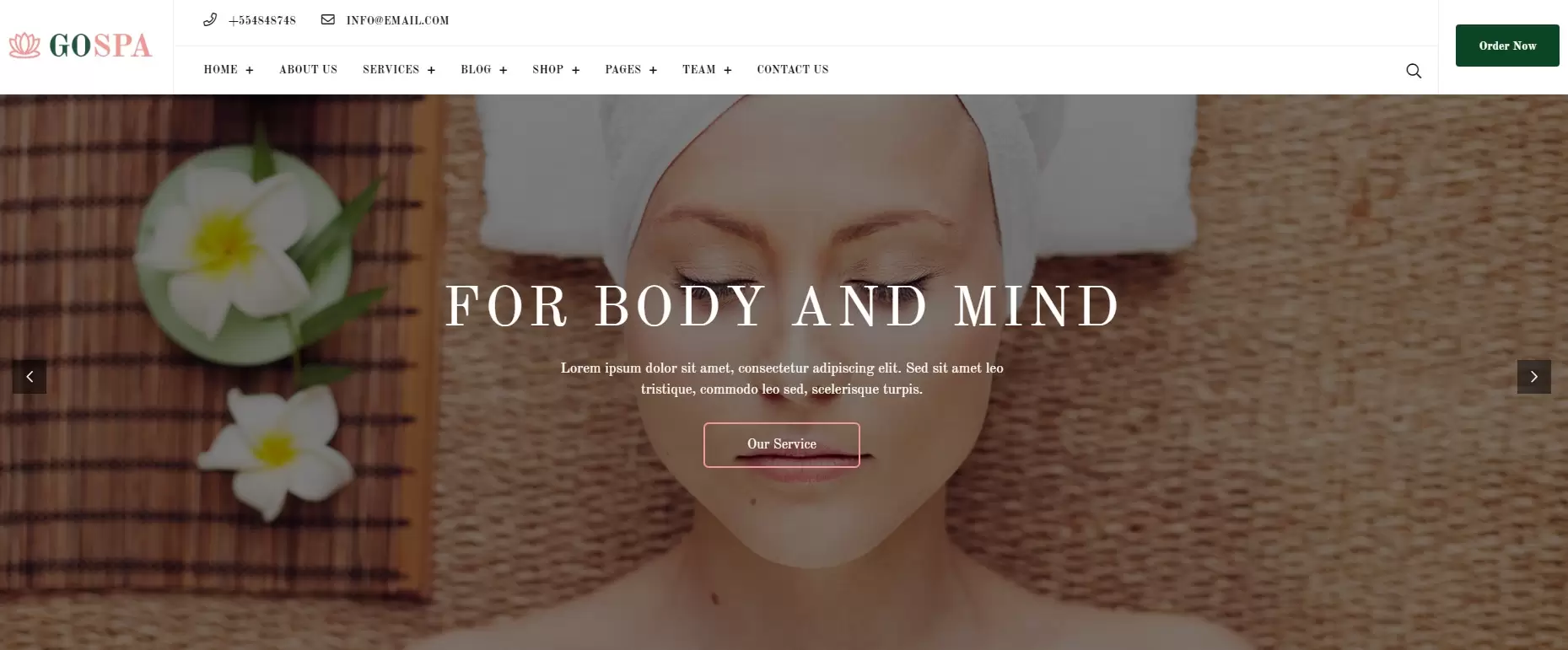 Sitio web de Go Spa