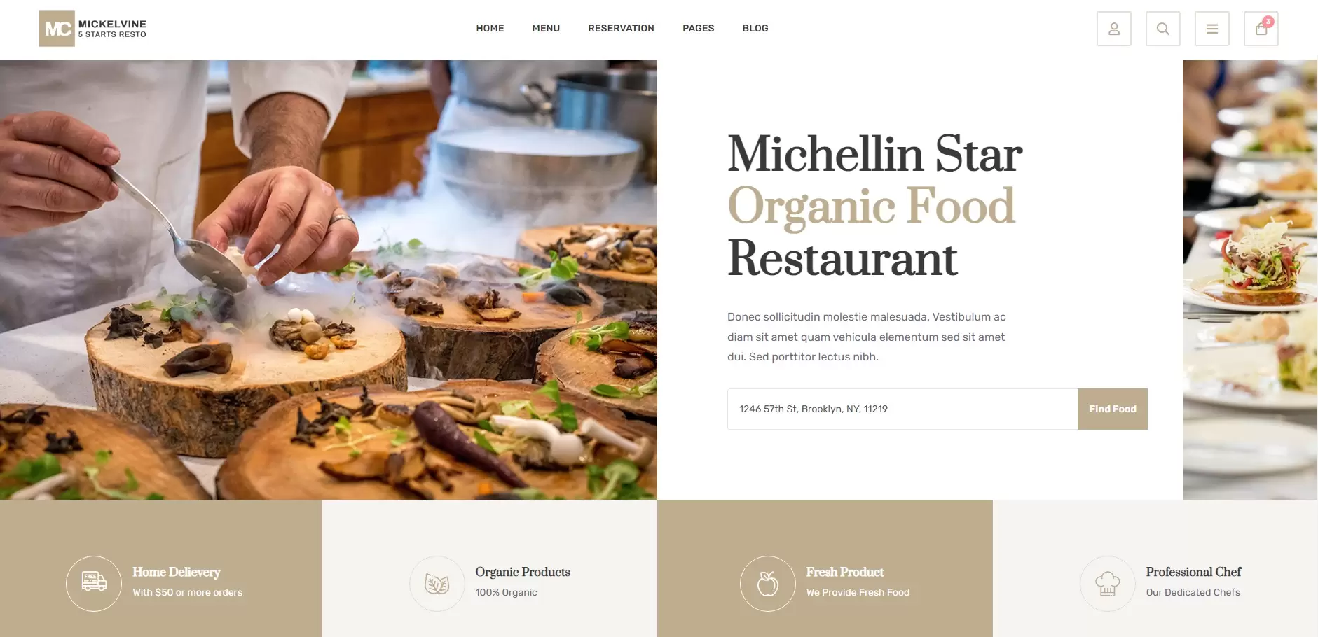 Mickelvine-Website