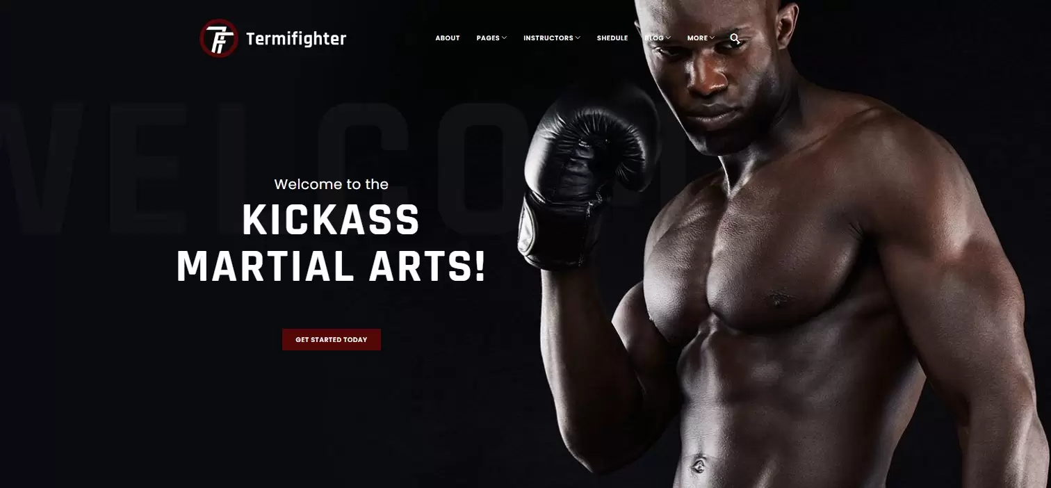 Sitio web de Termifighter