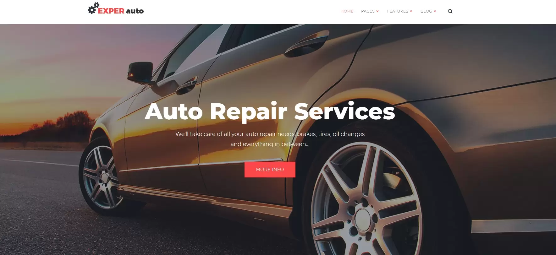 Sitio web de EXPER Auto