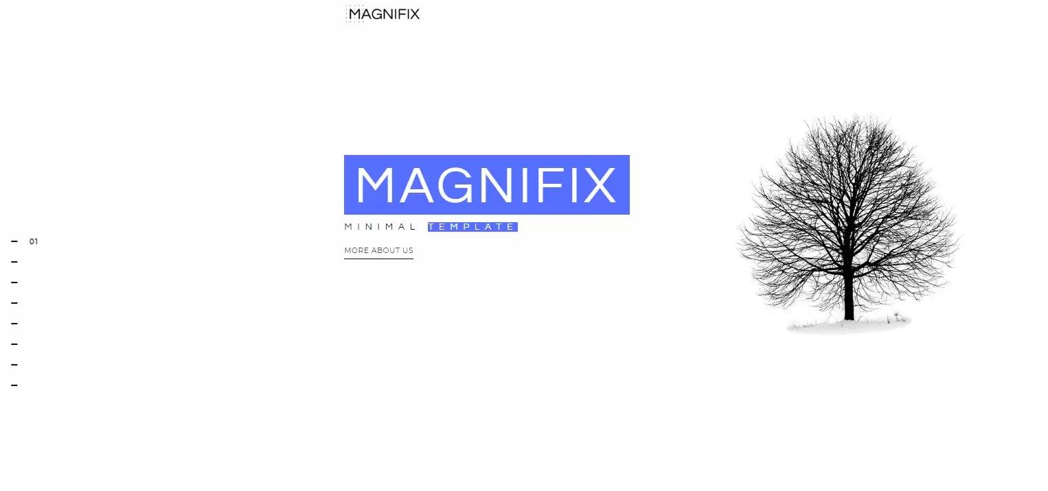 Magnifix-Website